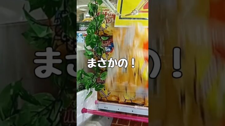 まさかの！いい日でした！#vita #クレーンゲーム #ufoキャッチャー動画 #攻略 #お菓子 #shorts