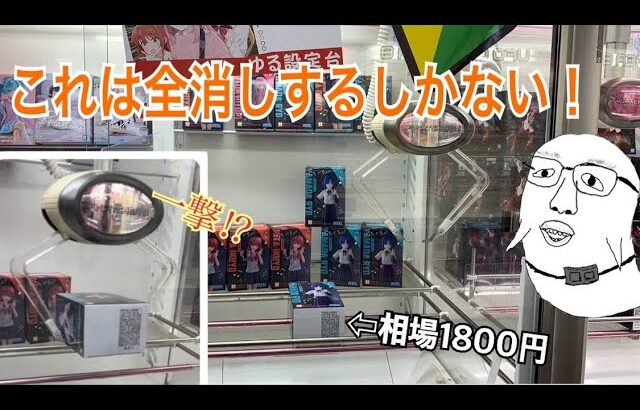 【全消し案件】相場が高騰している景品が処分台にあるのだがwww（UFOキャッチャー/クレーンゲーム）