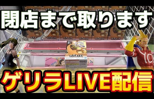 【クレーンゲーム】閉店までライブ配信！1時間で何個取れる!?