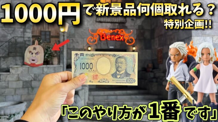 【神回】特別企画！1000円で新景品何個取れるのか？10月新景品第1.5回！【ベネクス川越店】【クレーンゲーム】