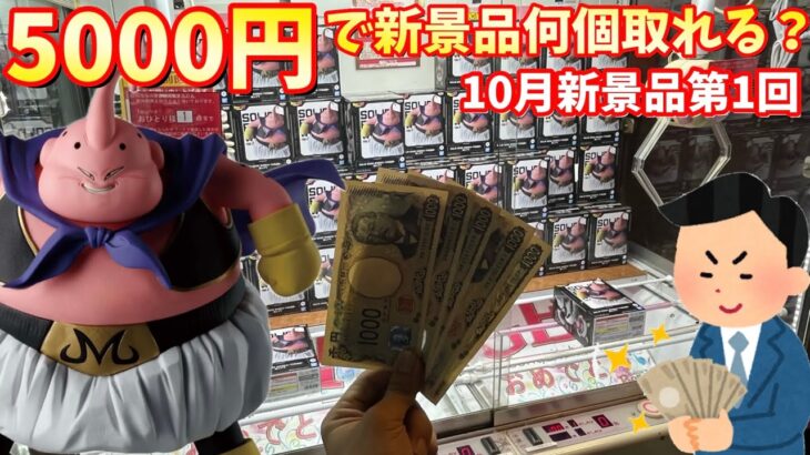 10月もやります！5000円で新景品何個取れるのか？10月新景品第1回【ベネクス川越店】【クレーンゲーム】