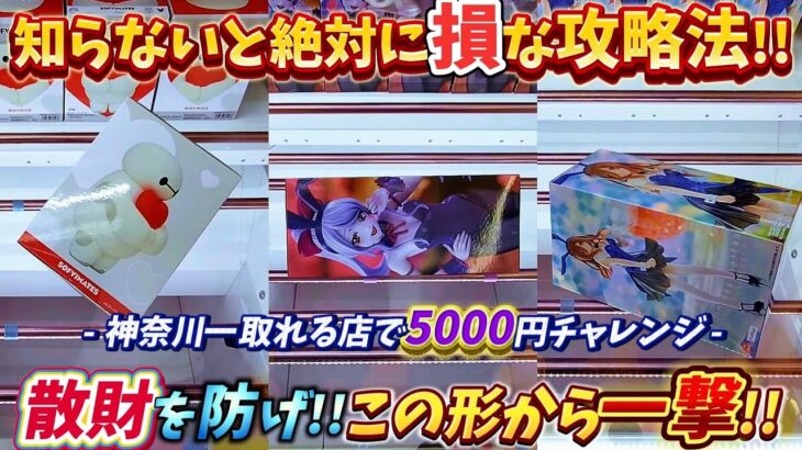 [クレーンゲーム] おたちゅう相模原店で5000円チャレンジ！最新景品何個取れる？ [ユーフォーキャッチャー]