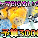 最速!!新作ちいかわパジャマBIGぬいぐるみうさぎ編!!予算3000円でGET出来るのか!?