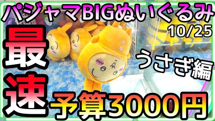 最速!!新作ちいかわパジャマBIGぬいぐるみうさぎ編!!予算3000円でGET出来るのか!?