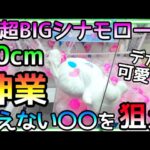 超超BIGシナモロール攻略のポイントは見えない〇〇を狙え!!70cmの巨大ぬいぐるみを神業で攻略!!