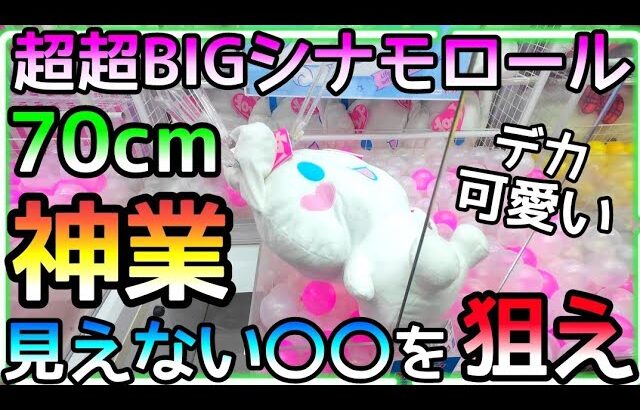 超超BIGシナモロール攻略のポイントは見えない〇〇を狙え!!70cmの巨大ぬいぐるみを神業で攻略!!