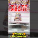 マシュマロ大量GET！？ハロウィンパーティーに使えるお菓子橋渡し設定攻略！#ハロウィン #cranemachine  #クレーンゲーム #ゲーセン #clawmachine #UFOキャッチャー