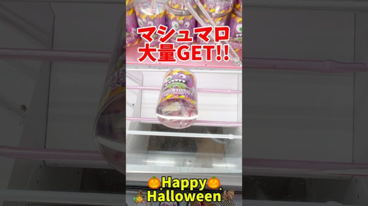 マシュマロ大量GET！？ハロウィンパーティーに使えるお菓子橋渡し設定攻略！#ハロウィン #cranemachine  #クレーンゲーム #ゲーセン #clawmachine #UFOキャッチャー