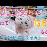 追加ゲットしに行ったらハプニング起きた！これってGETなの？ちいかわパジャマBIGぬいぐるみ1