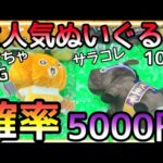 ROUND1大人気ぬいぐるみの確率は5000円!?散財し引くに引けなくなり確率までただ待つだけw