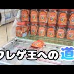 【クレーンゲーム】少年がクレゲ王を目指してゲームセンターで景品獲得に挑む【UFOキャッチャー】