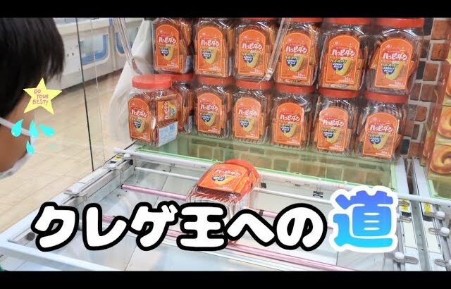 【クレーンゲーム】少年がクレゲ王を目指してゲームセンターで景品獲得に挑む【UFOキャッチャー】