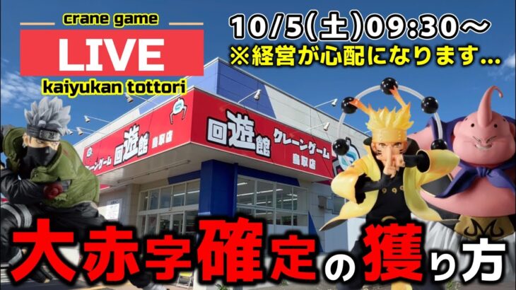 【クレーンゲーム】世界一獲れるゲーセンで、新景品を大赤字になるまで獲り尽くす！【回遊館鳥取店・UFOキャッチャー】