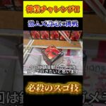 神業チャレンジ！超高難易度の橋渡し設定をスゴ技で攻略できるか！？ #cranemachine  #クレーンゲーム #ゲーセン #clawmachine #UFOキャッチャー