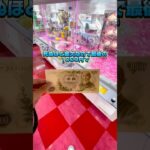 金欠ならゲーセンで食料確保よな#クレーンゲーム #クレーンゲーム攻略 #ゲームセンター ゲーセン #確率無視 #ufoキャッチャー #ユーフォーキャッチャー #お菓子 #ラウンドワン