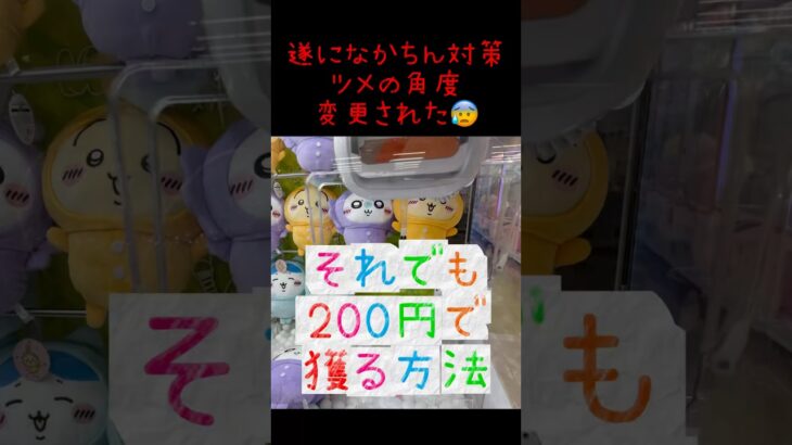 クレゲで大切な事知ってる⁉️ #ufoキャッチャー #クレーンゲーム #ちいかわ #ハチワレ #モモンガ #うさぎ #パジャマ #party #裏技