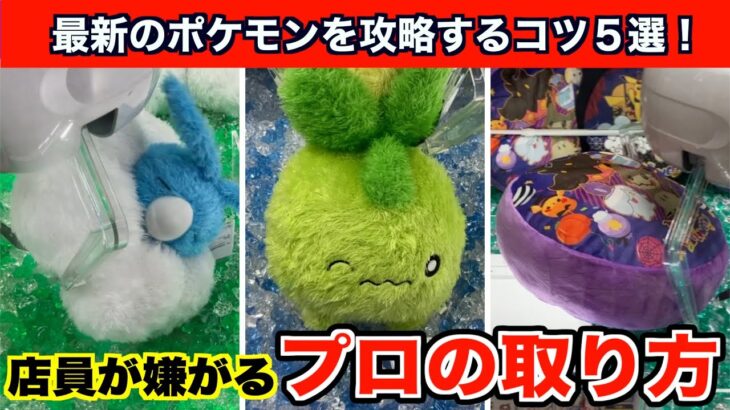 【クレーンゲーム】新作ポケモンを簡単なものから難しいものまで攻略するコツ５選！