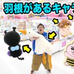 クレーンゲーム１万円で羽根のあるキャラだけ限界取りしたら一体何個取ることが出来るのか?!