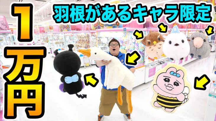 クレーンゲーム１万円で羽根のあるキャラだけ限界取りしたら一体何個取ることが出来るのか?!