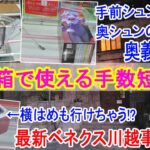 【クレーンゲーム】長箱４手で取りたいなら！９割が知らないシュンの極意　橋幅が広がった日本一の店舗ベネクス川越を最新直撃