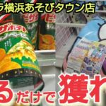 【サープラ横浜あそびタウン店】クレーンゲームの景品を見るだけで取るコツを紹介