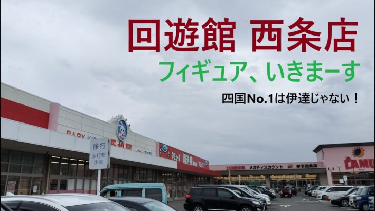 【クレーンゲーム】回遊館西条店 四国のフィギュアはここ！動画で見たあの技もここならできます！