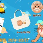 【どこキャ祭】どこでもキャッチャーに挑むねこの姿！【ねこなるもの】