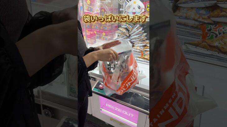 【クレーンゲーム】初心者🔰が景品で袋パンパンにしてみた！！