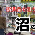 沼沼回。新景品を狙いますが簡単に獲れない！