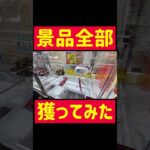 【衝撃】景品全部とってみたwww【全消し】#クレーンゲーム