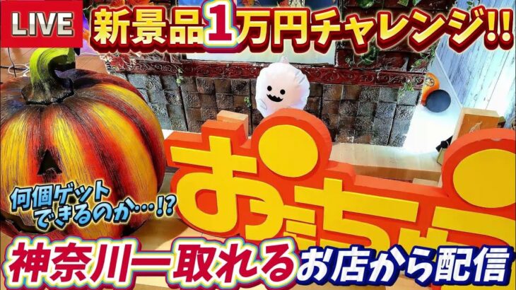 [クレーンゲーム配信] おたちゅう相模原店で新景品1万円チャレンジ！