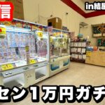 【生配信】関西トップクラスの爆取れゲーセンで1万円使って本気勝負する‼【結屋大和郡山店】︎ #クレーンゲーム #ufoキャッチャー  #shorts