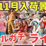 【ライブ中継】11/21 ベネクス川崎でクレーンゲームやっちゃうよ🐯❗️新景品リアルガチでチャレンジ！コツとか裏ワザ攻略法解説