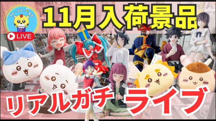 【ライブ中継】11/22 ベネクス川崎でクレーンゲームやっちゃうよ🐯❗️新景品リアルガチでチャレンジ！ちいかわ確率機に挑みますw