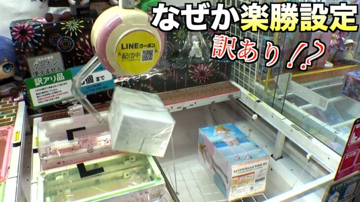 なぜか200円〜300円で取れまくる景品たち【クレーンゲーム／UFOキャッチャー】