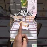 クレーンゲームでこの冬を200円で乗り越える方法🔥（UFOキャッチャー)#shorts