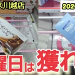 【月刊ベネクス川越店】クレーンゲーム日本一獲れるお店の日曜日で景品を取るコツを紹介 #2024年11月