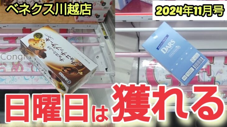 【月刊ベネクス川越店】クレーンゲーム日本一獲れるお店の日曜日で景品を取るコツを紹介 #2024年11月