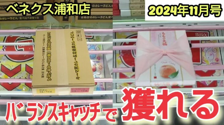 【月刊ベネクス浦和店】クレーンゲーム日本一獲れるお店でバランスキャッチで景品の取るコツを紹介 #2024年11月