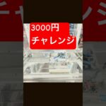 3000円チャレンジで　in GIGO ‼️#クレーンゲーム#ゲーセン#UFOキャッチャー#GIGO#ワンピース#クレーンゲーム動画#gigo #ufoキャッチャー動画 ゲームセンター