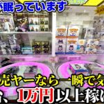 【誰も気づかない爆アド案件】ゲーセンに寄ったらトライポッドでお宝を発見したので車代返済に宛ててみた【-4500kから始まるクソ転売ヤー生活 第3話】