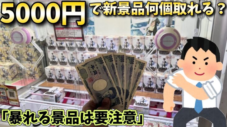 まだまだ続けます！5000円で新景品何個取れるのか？【ベネクス川越】【クレーンゲーム】