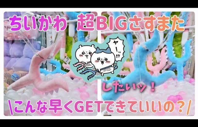 ちいかわ超BIGさすまた こんな早くGETできていいの？ ヤーッ!!!したいッ！