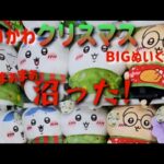 ちいかわクリスマスBIGぬいぐるみ まぁまぁ沼った！実力GETと言えるのか…