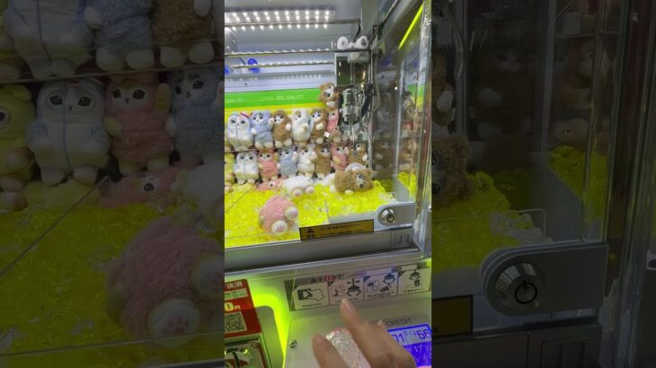 I thought I’d catch it #japan #japanclawmachine #ゲームセンター #クレーンゲーム ＃キャッチャー　#ufoキャッチャー