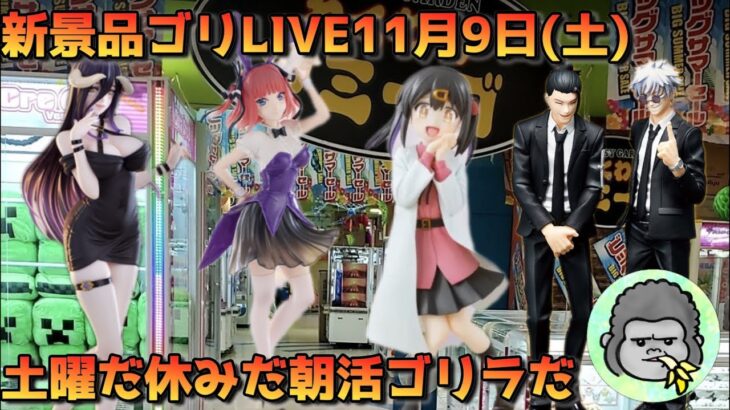 【クレーンゲーム】新景品と朝活ゴリLIVE🦍11月9日(土)10:00〜