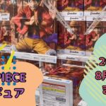 【クレーンゲーム】ONE PIECEフィギュアまとめ（2024年8月・9月）