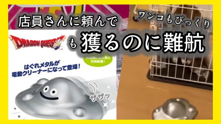 店員さんに感謝！はぐれメタルのクリーナー #クレーンゲーム #UFOキャッチャー #ドラクエ