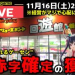 【クレーンゲーム】世界一獲れるゲーセンで、大赤字になるまで獲り尽くせ！【回遊館養父店・UFOキャッチャー】