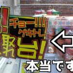 「超激取れ台」って書いてあるのですが、本当なのでしょうか？【クレーンゲーム／UFOキャッチャー】